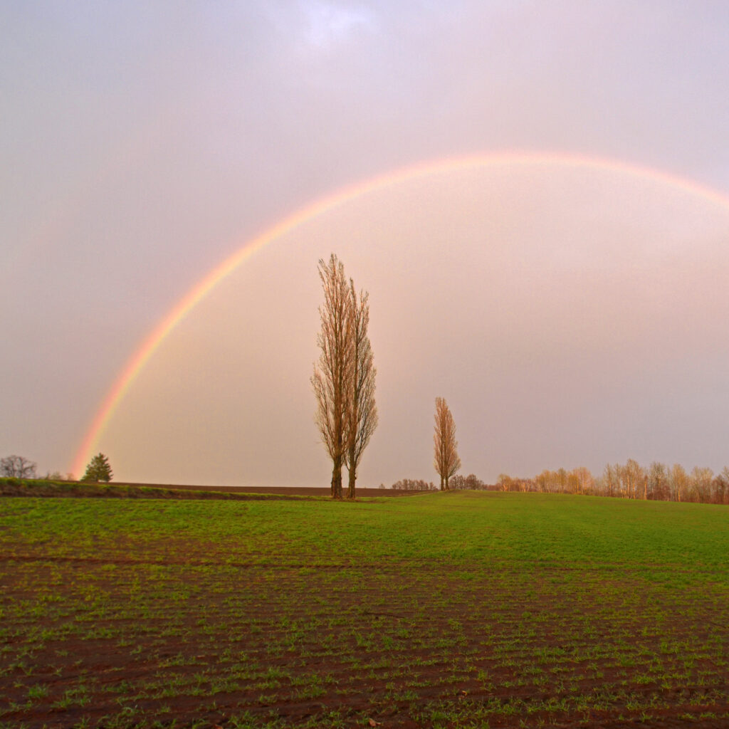 スクエアイメージ